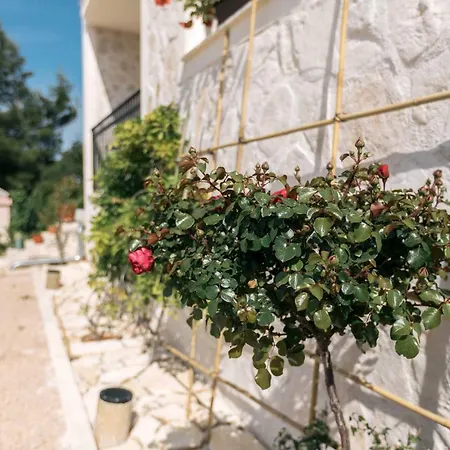 Appartement Hedon-Stone à Starigrad Paklenica Extérieur photo