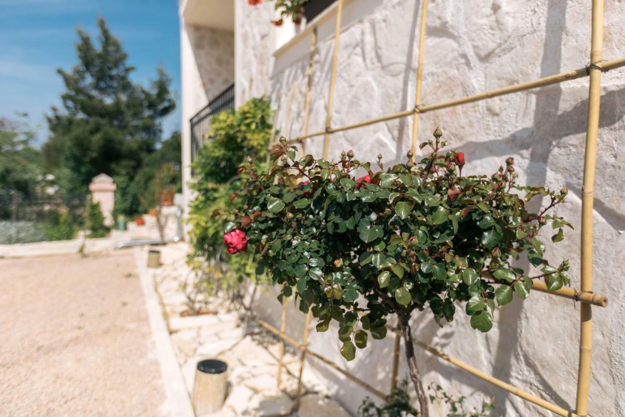 Hedon-stone Starigrad Paklenica